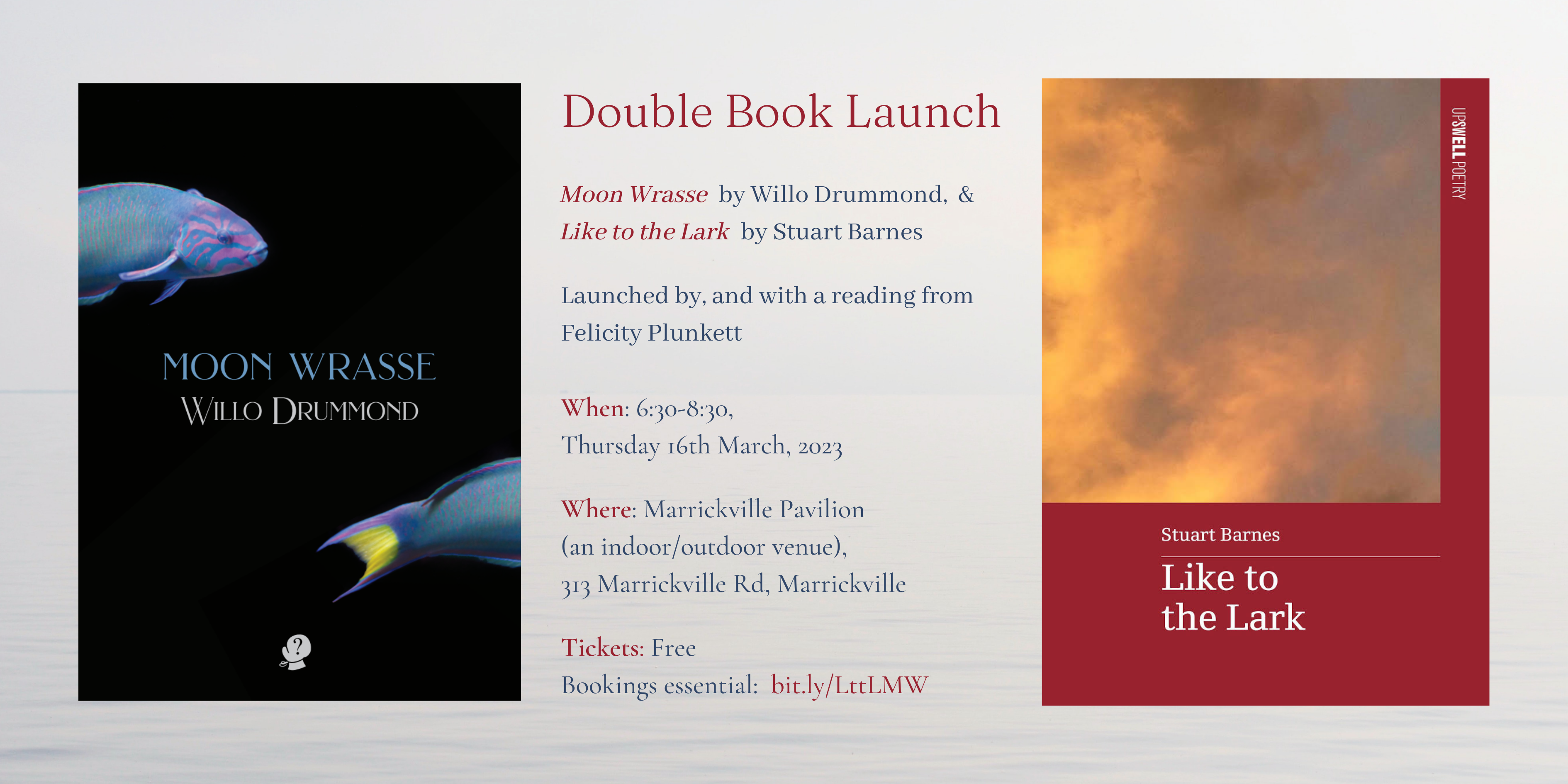 Email Flyer_with link